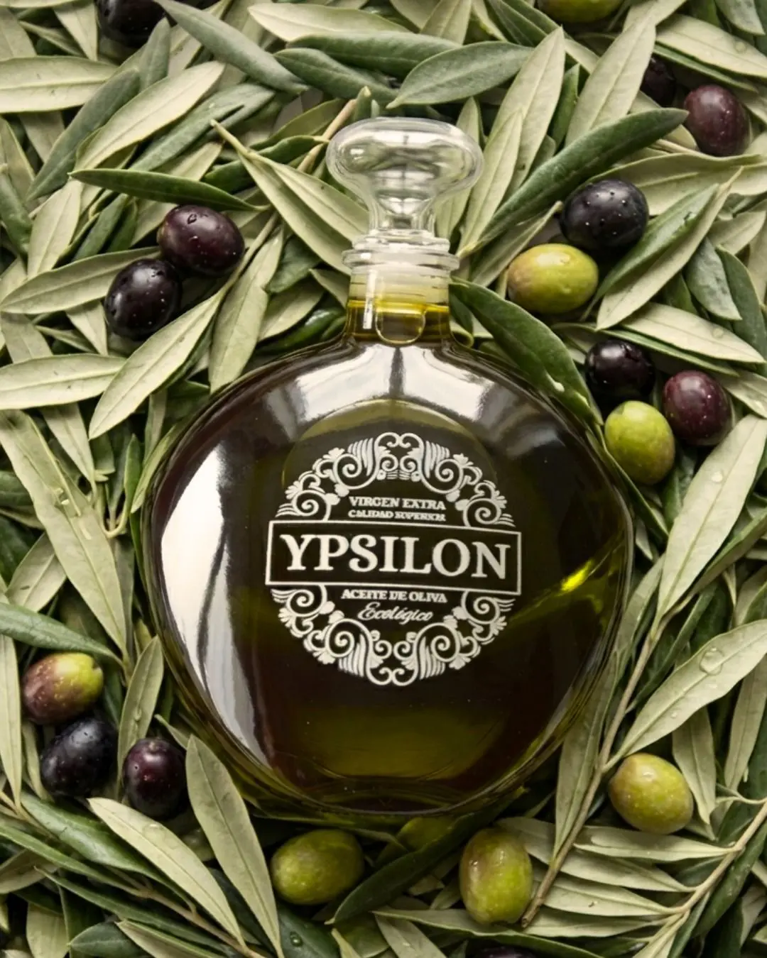 hera-premium-bio-olivenoel-ypsilon-mit-oliven-blaettern Top-Down-Foto der markanten Hera Premium Bio-Olivenöl-Karaffe (Ypsilon), die auf einem üppigen Bett aus frischen grünen Olivenblättern und grünen sowie reifen violetten Olivenfrüchten liegt.