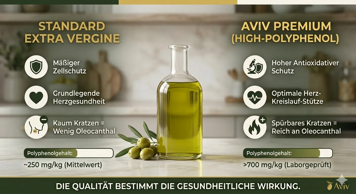 Ist Olivenöl gesund – Wirkung, Inhaltsstoffe und was die Forschung zeigt