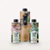 Tropicual De Vega, Everyday und De Sierra als Dreiergruppe auf hellem Grund